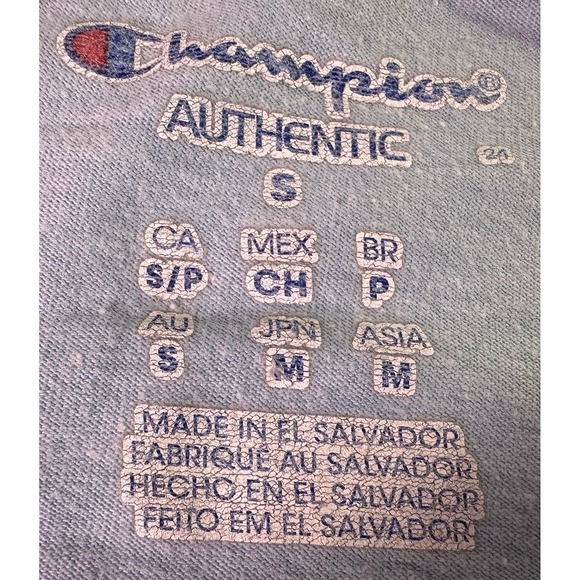 Champion Men's Small Vapor Raglan T-Shirt Blue Gray Colorblock Performance Tee - Picture 4 of 9